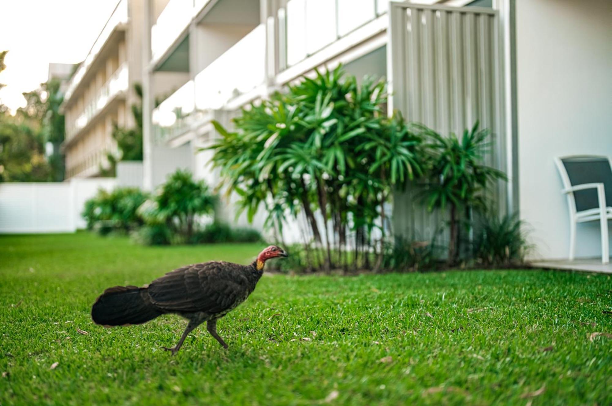 จาคารานด้า อพาร์ตเมนต์ นูซ่า Aparthotel นูซาเฮดส์ ภายนอก รูปภาพ